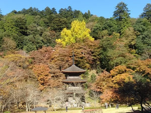 舞鶴高専付近のいい所(第1弾)